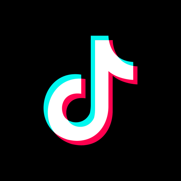 Paid TikTok Followers : Community Growth Advertising Director